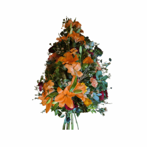 Collection Ambre