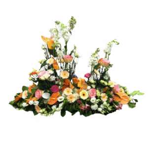 Collection Tangerine