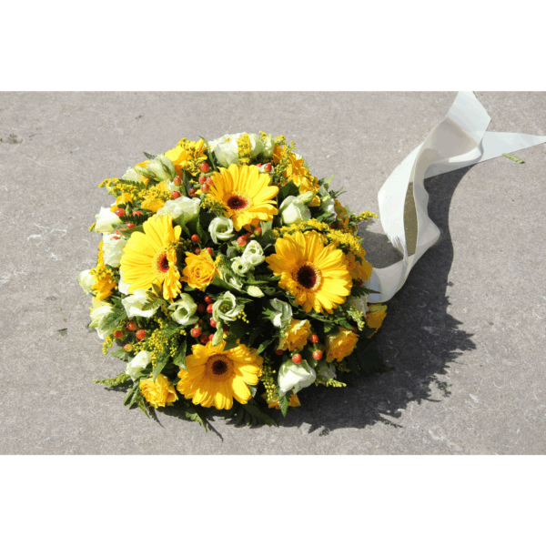 Coussin Citrine